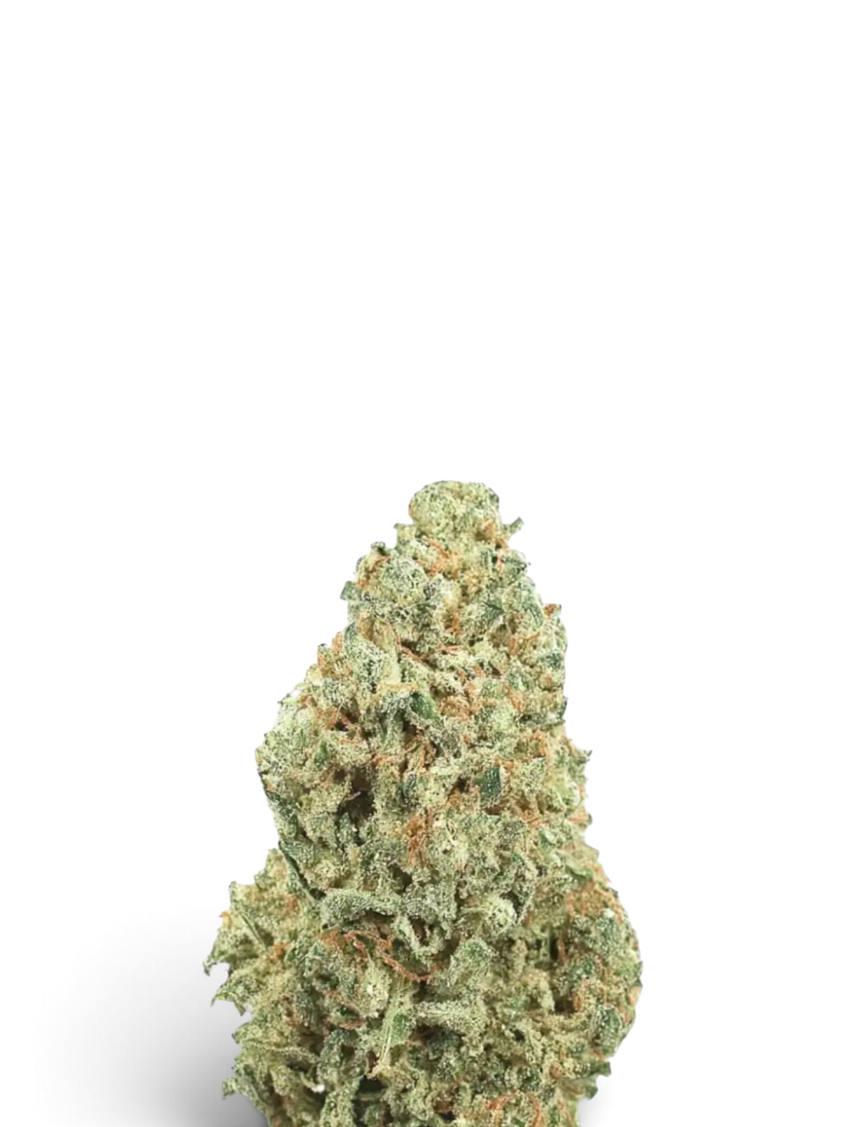 AMNESIA