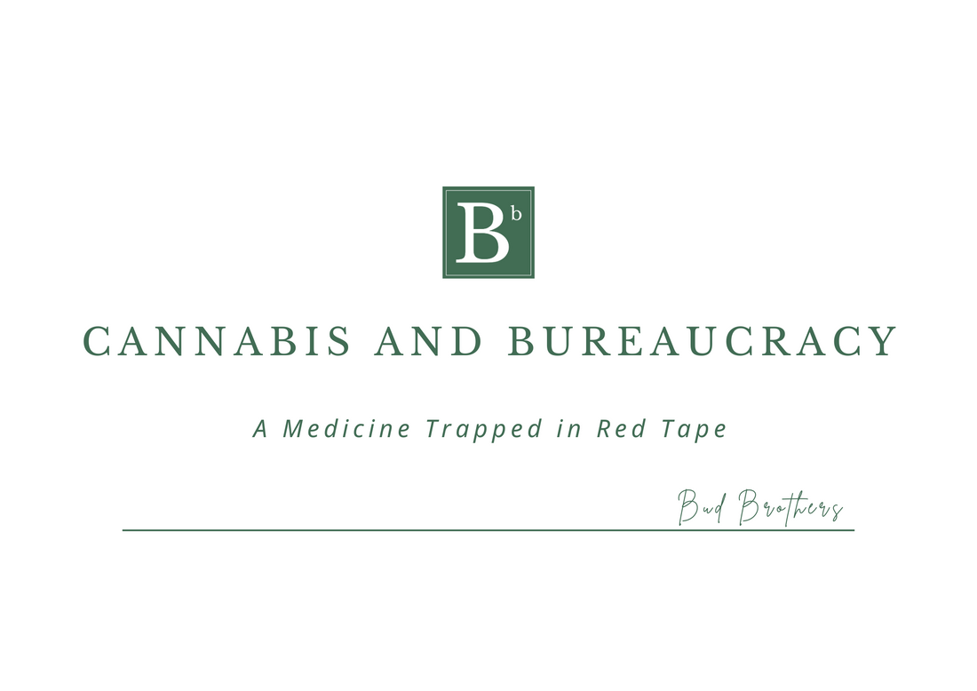 CANNABIS AND BUREAUCRACY