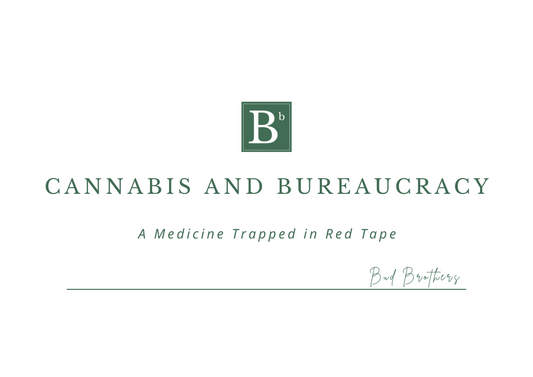 CANNABIS AND BUREAUCRACY