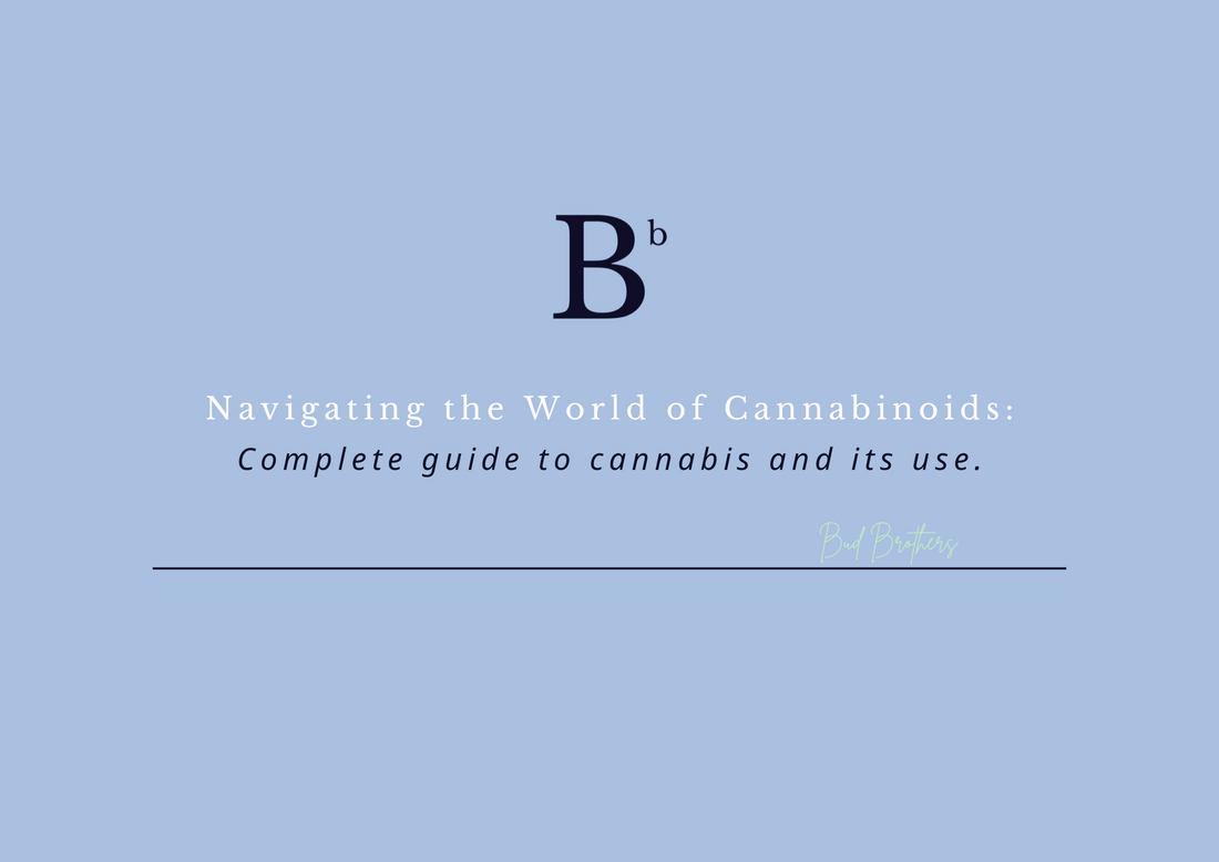 UNDERSTANDING: CBN, CBG, & CBD