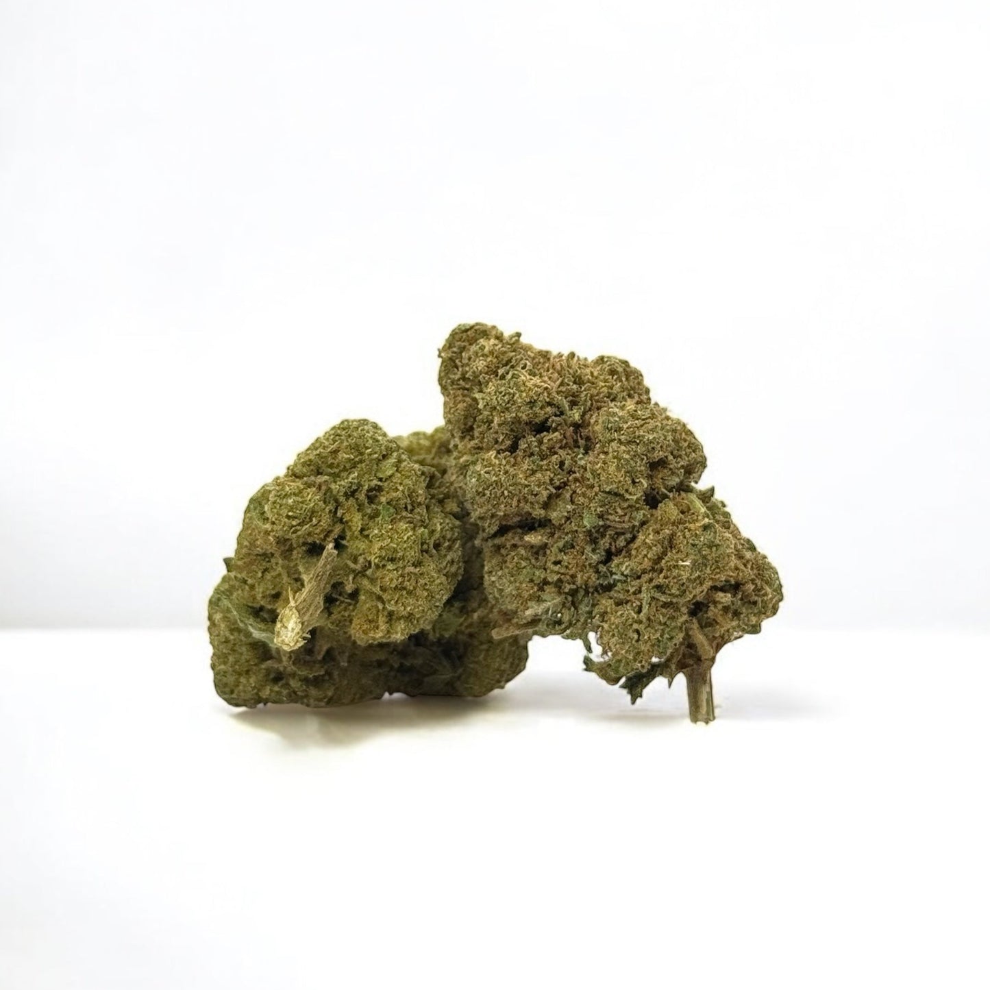GORILLA GLUE
