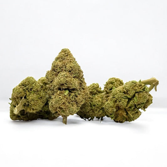 GORILLA GLUE