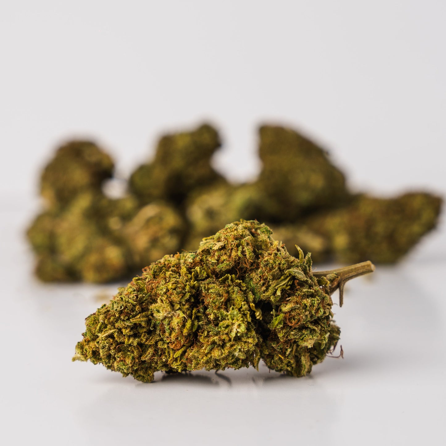 CBD SAMPLE BUNDLE