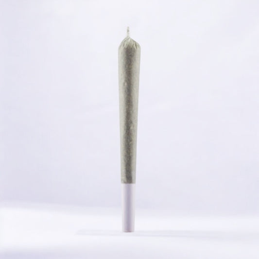 HEMP STICKS