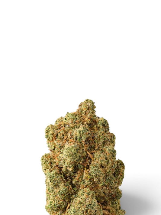 BudBrothers Cannatonic cbd flower bud with dense green foliage and orange pistils against a white background