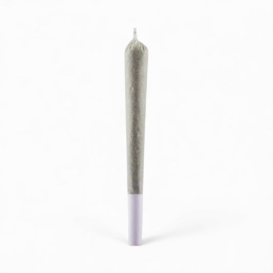 CBD hemp stick on white backdrop